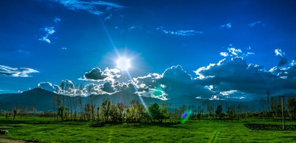 Climate Change Impact